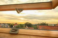 rated Loose roof window companies